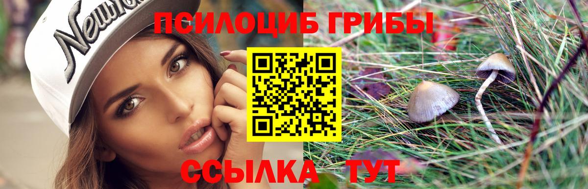 Галлюциногенные грибы прущие грибы Красный Сулин