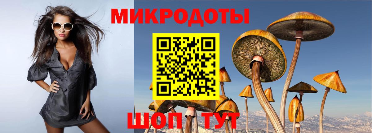 Красный Сулин  Галлюциногенные грибы GOLDEN TEACHER  Вход с VPN 